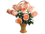 Eco Friendly - 12 Stems In Basket